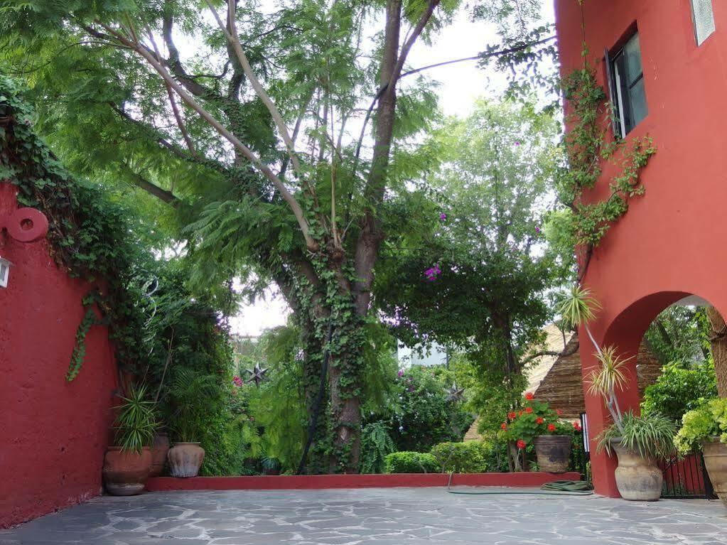 Casa De Las Conservas Comfort San Miguel de Allende Bagian luar foto